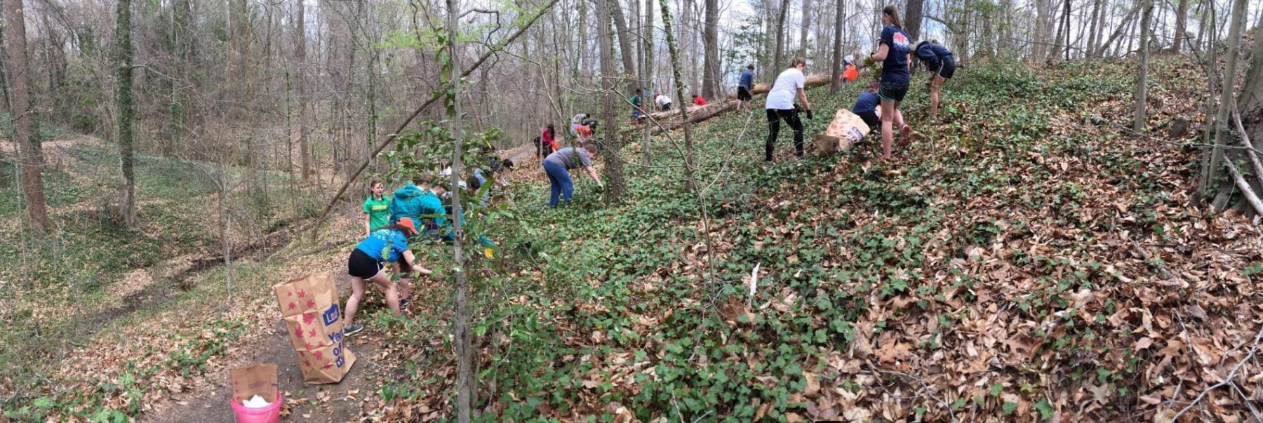 Clover Hill students at work
