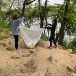 Volunteers collecting trash.