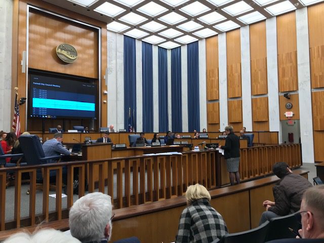 Mary Kay Martin at City Council
