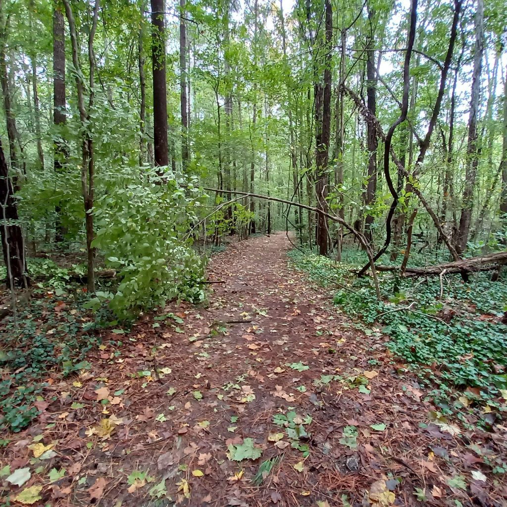Jym Coleman trail photo