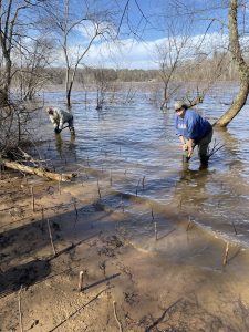 Pony Pasture Env Project 1