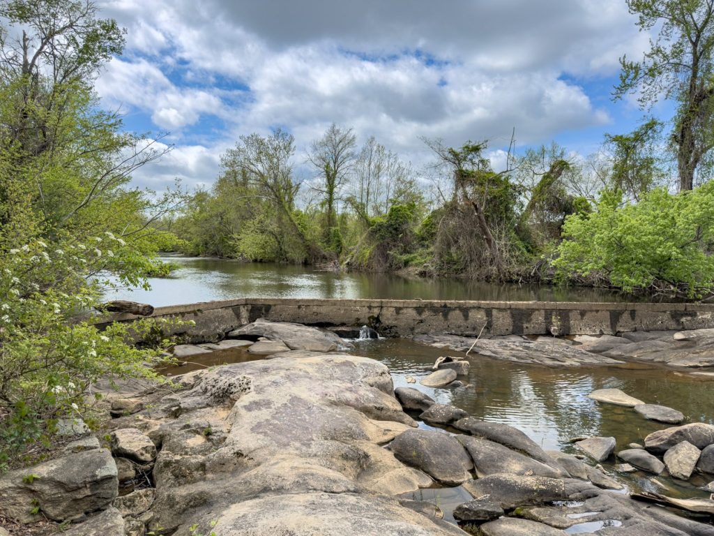 Near Reedy Creek by Bill Draper