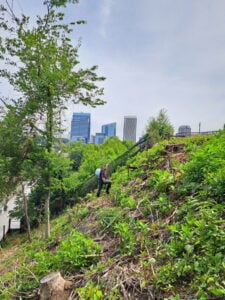 Manchester Climbing Wall hillside