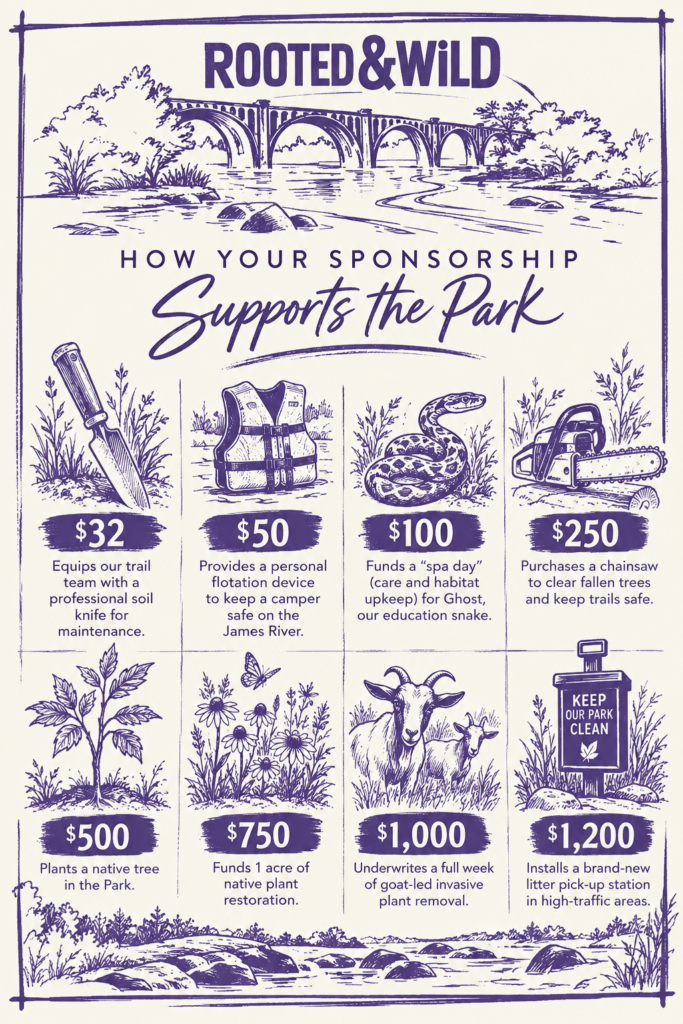 Rooted and Wild infographic